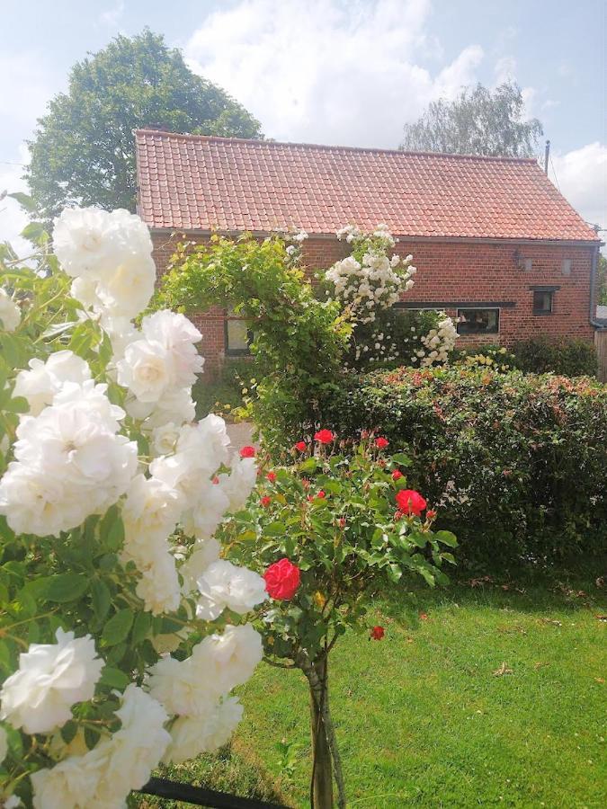 Gite Rural Les Petites Tetes Leuze-en-Hainaut Bagian luar foto